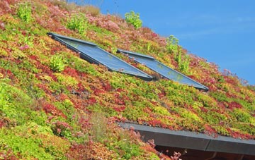 Potters Hill living roof systems